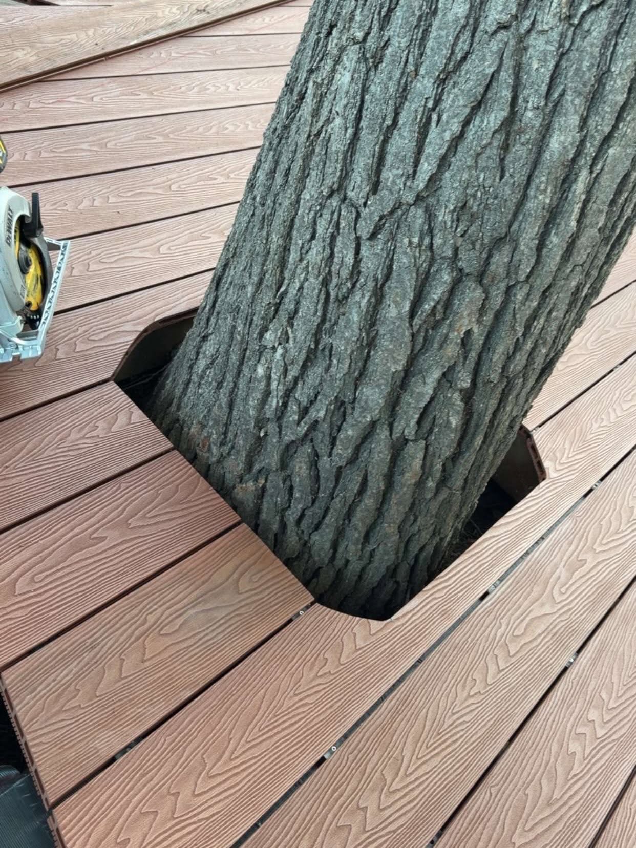 Picture Frame Composite Deck - Image 2